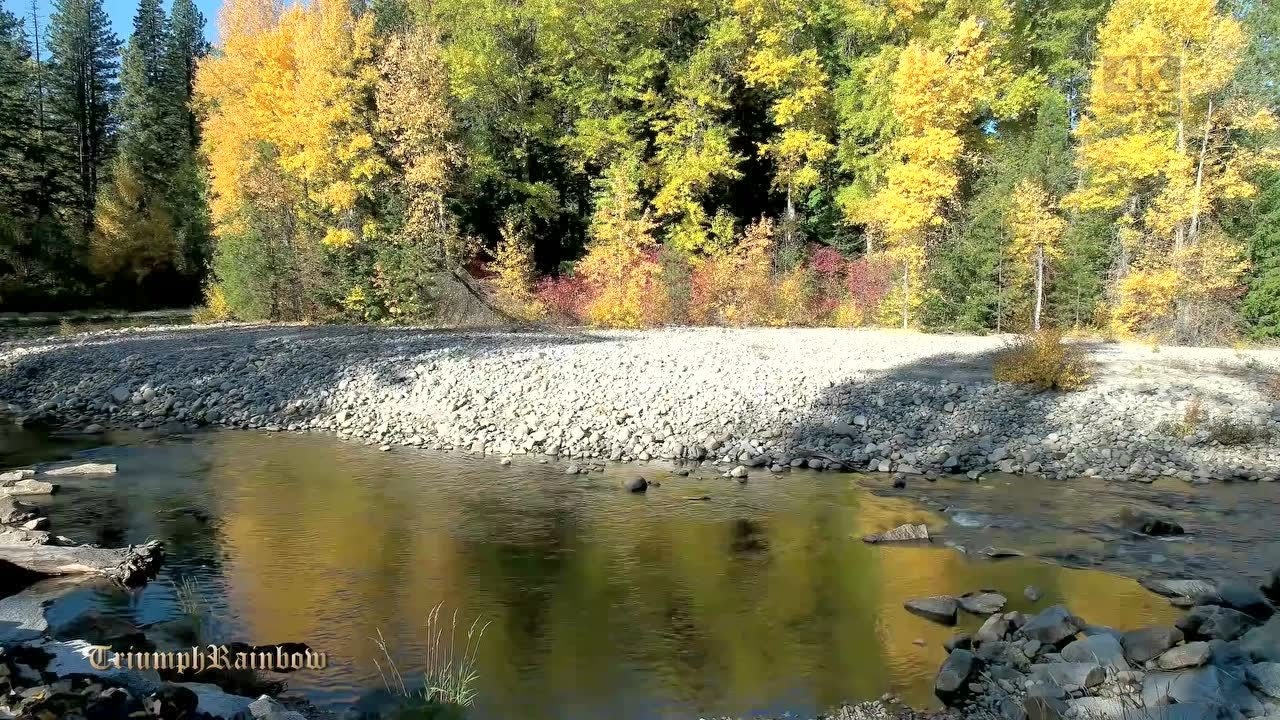 美国蒙大拿州温纳特湖观赏秋叶