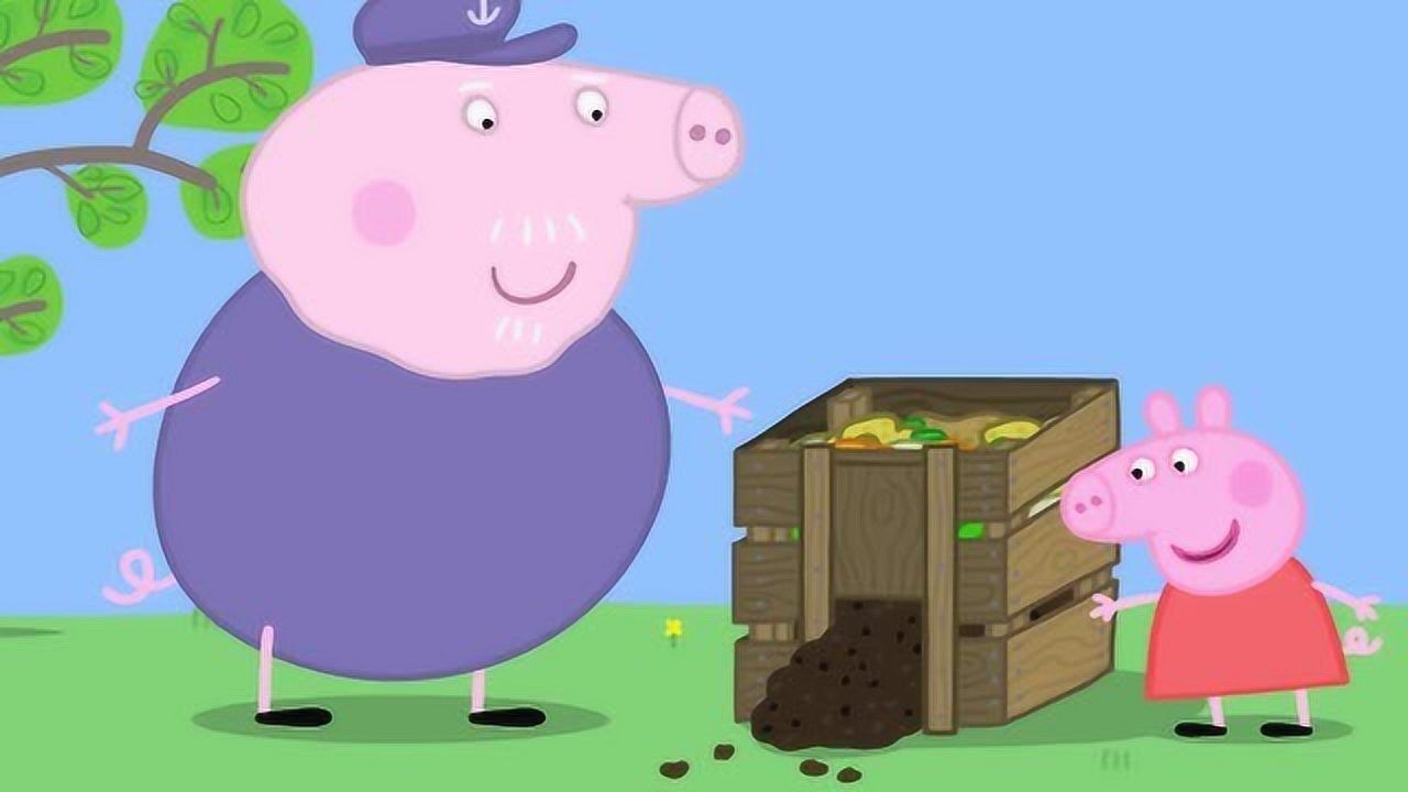 猪爷爷的蔬菜皮变成了堆肥佩奇觉得这是一个魔法箱子