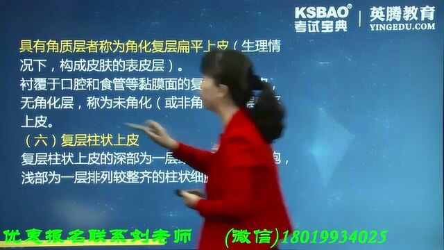 2019年主治医师考试:病理学组织与胚胎学之上皮组织