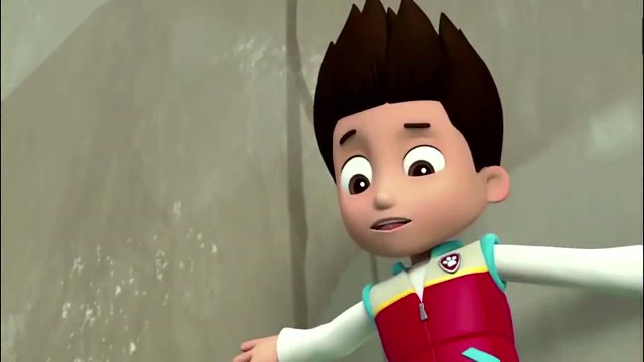 小力与汪汪队结缘,他们互相介绍