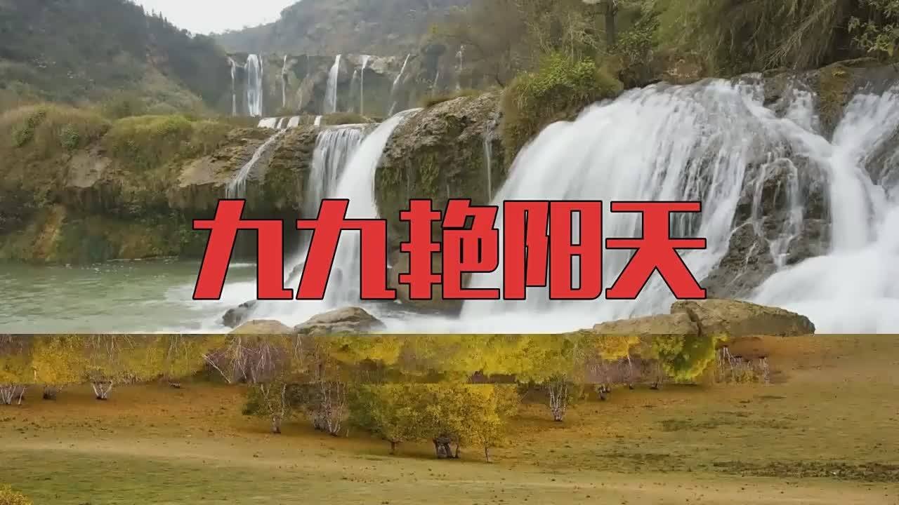 刀郎的一首歌曲九九艳阳天唱出了心声歌声婉转动听