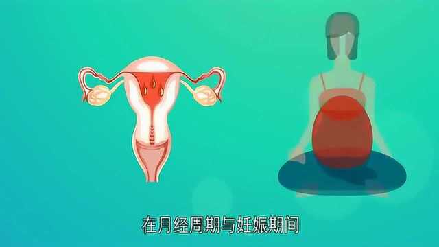 卵巢里的雌激素和孕激素有什么用?看完长见识了!