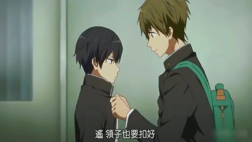 《free大哥游泳部》真遥党头顶青花鱼