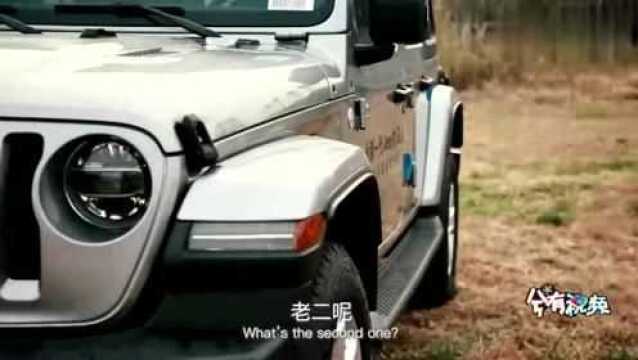 神经兮兮车评记:Jeep最强2.0T“男团”强势来袭,哪个是你的菜?