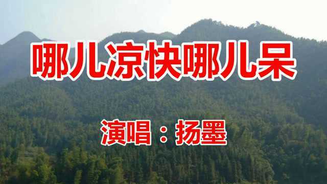 扬墨《哪儿凉快哪儿呆》网络歌曲