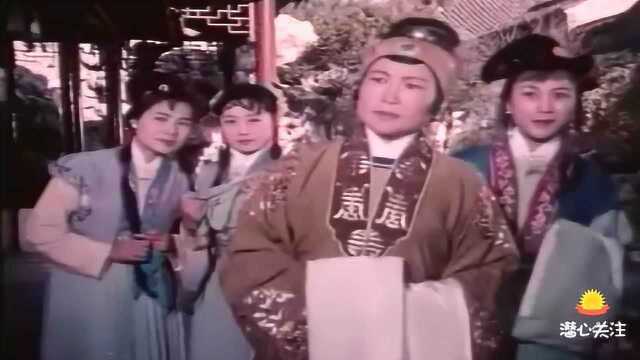 曲剧《风雪配》选段,钱青代颜俊相亲,切磋诗文,高秋芳一见钟情