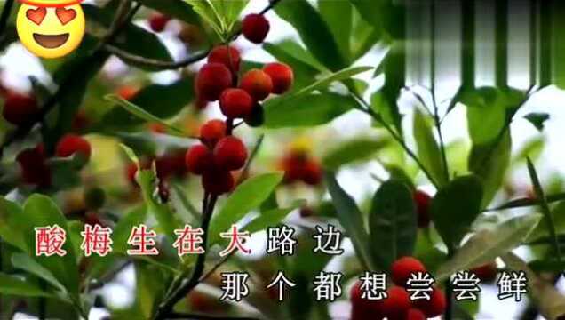 最新贵州山歌《同心合意到白头》