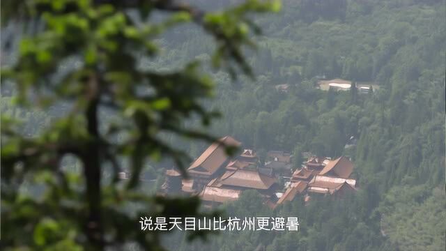 《和谐》!《人与生物圈计划在中国》第三集幕后花絮!