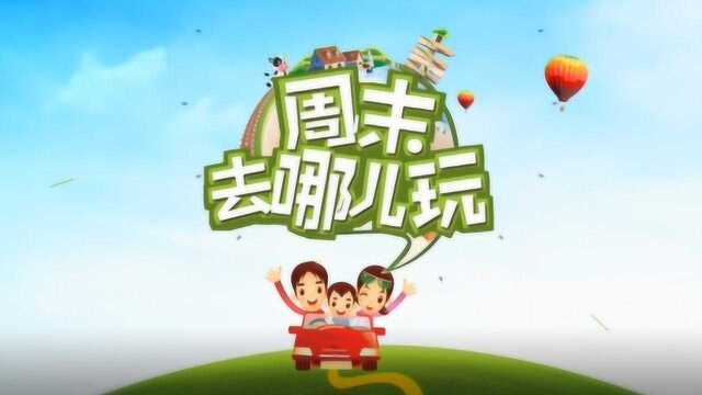 2019年1月4日 济南都市频道 都市新女报 周末去哪儿玩 九如山内容