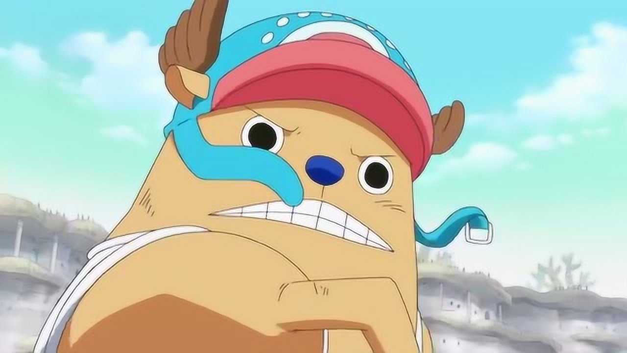 乔巴居然使出了李小龙的招式不愧为功夫狸猫