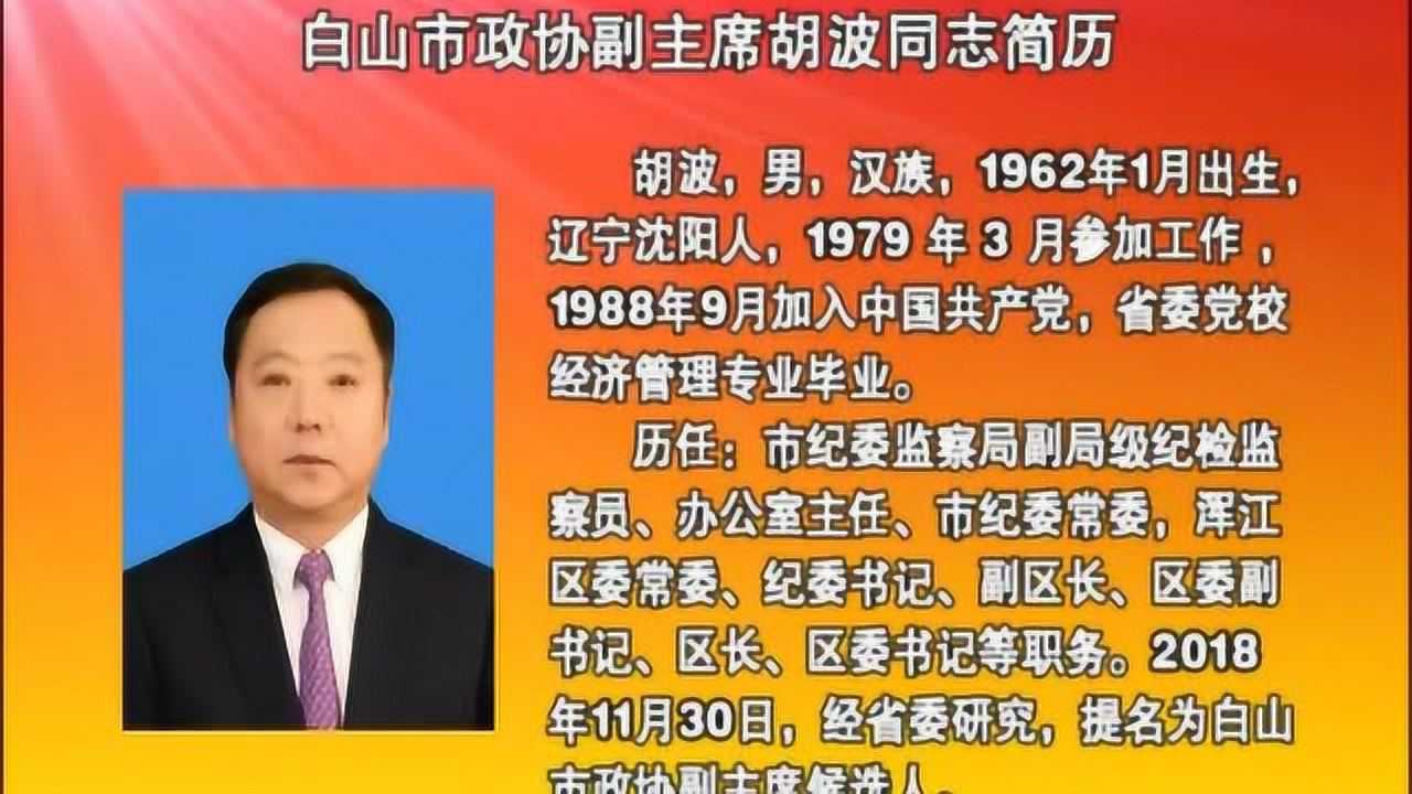 4白山市胡波简历