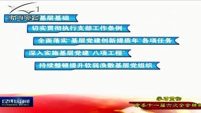 以党建的高质量为区域性国际中心城市建设提供有力保障