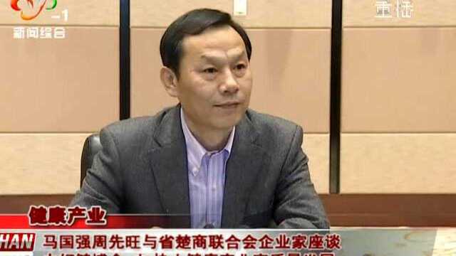 马国强周先旺与省楚商联合会企业家座谈