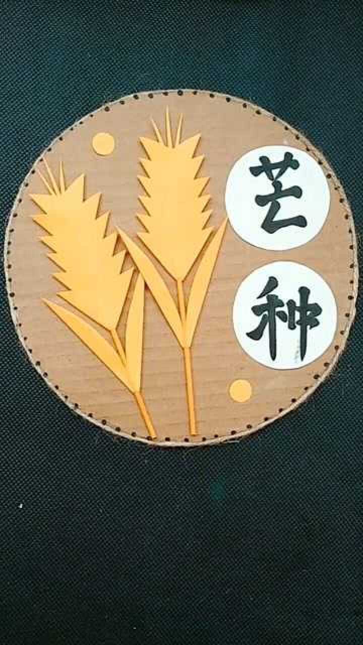 二十四节气折纸手工制作芒种