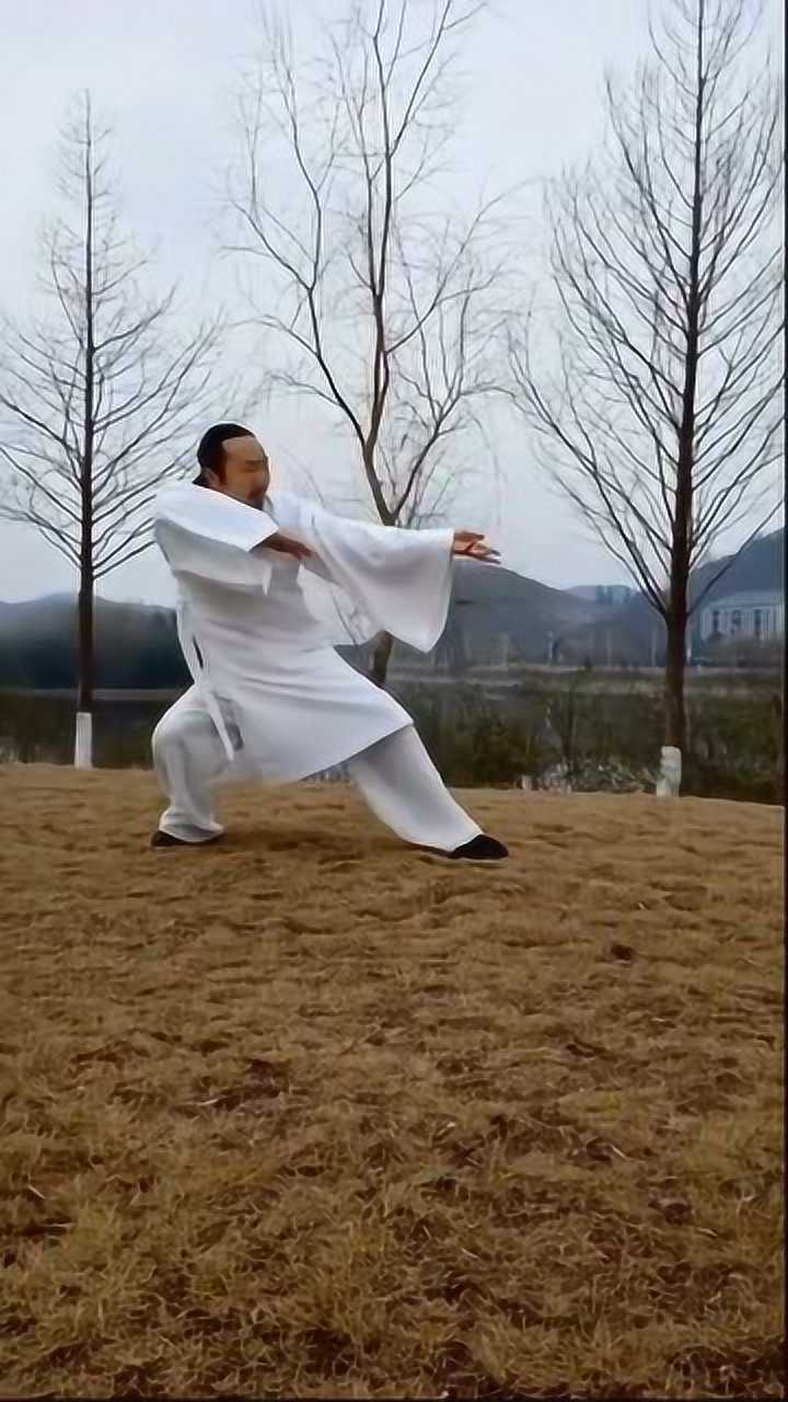 武当太乙绵掌,非常的柔和,比太极难.