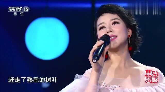 民歌中国:兰天演唱歌曲《梧桐树》,人美歌也美,“天籁之音”!