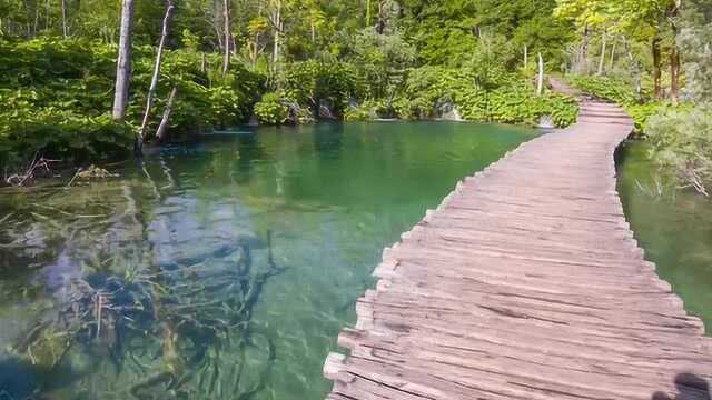 绿色海洋,山间风景秀丽,却鲜有人知道