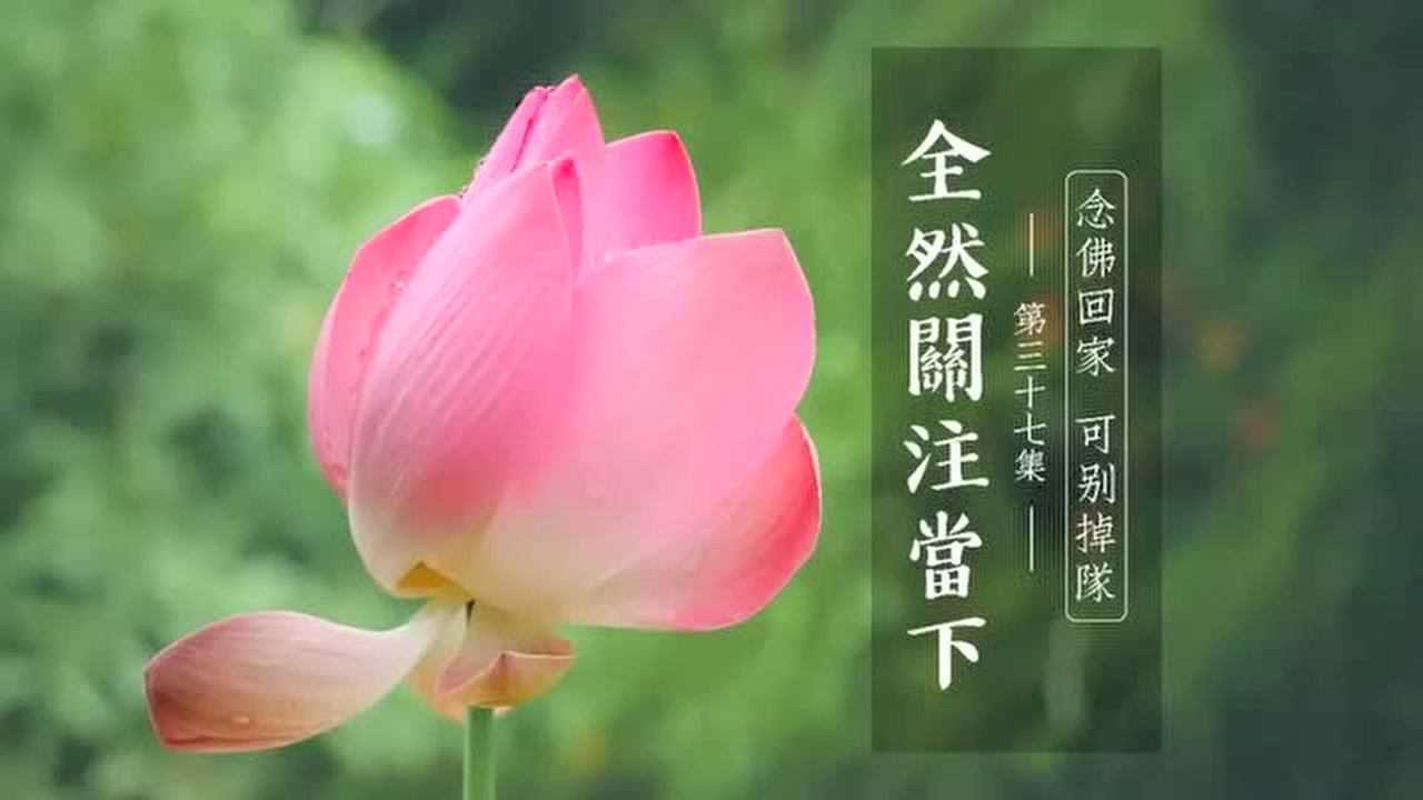 念佛回家图片