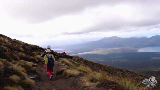 站在火山上看新西兰这个国家,依旧美的令人窒息