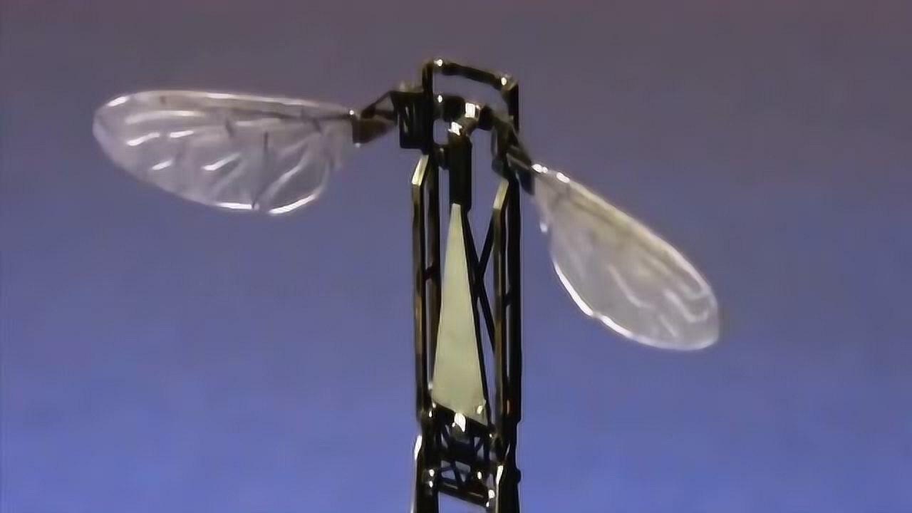 外国牛人制造出仿生昆虫飞行器大小就和蜜蜂差不多真是太牛了