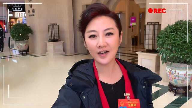 我的上会Vlog:全国人大代表孙维的一天