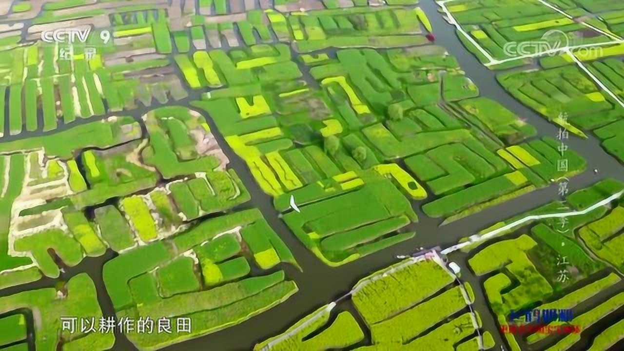航拍中国 兴化垛田_腾讯视频