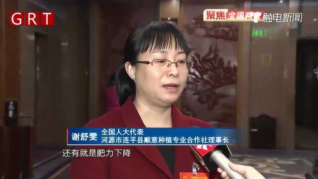 全国人大代表谢舒雯:引导农民合理使用农药 让农产品更加健康