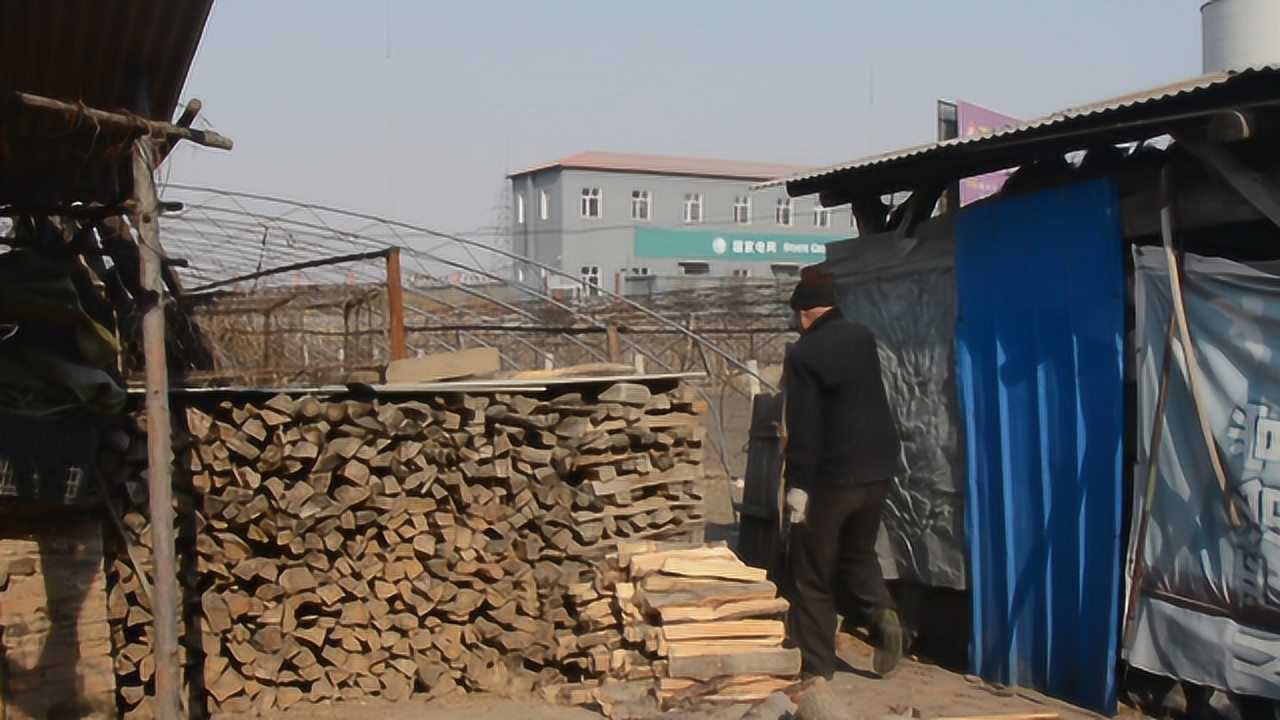 在农村该怎么劈柴?要顺应枯木的纹路,劈砍起来十分轻松_高清1080P在线观看平台_腾讯视频