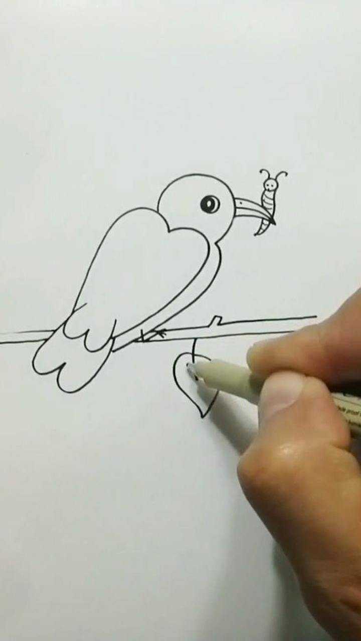 用四个3画只小鸟