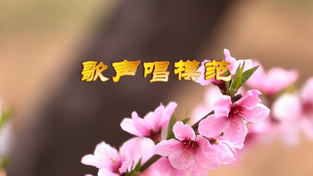 卫辉市桃花源腾讯视频