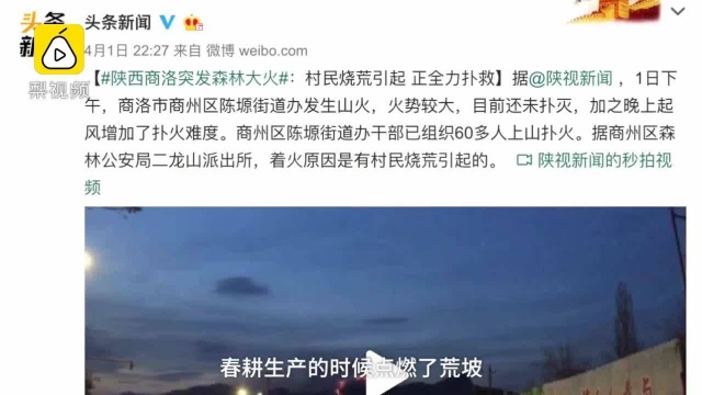 陕西商洛突发森林大火:天已晚扑救人员暂撤下,次日继续扑救