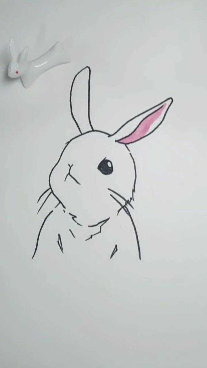 一笔一画教你画小白兔学会了点赞哟