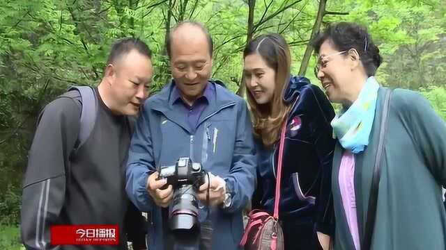 湖北的大山里藏着“宝贝”,上百棵珍贵的铁坚油杉树