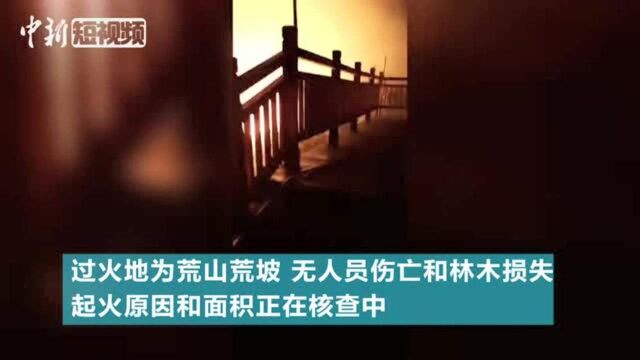 张家口万全区发生山火无人员伤亡和林木损失