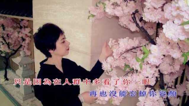 陈春红MV《传奇》,非常经典的歌曲.