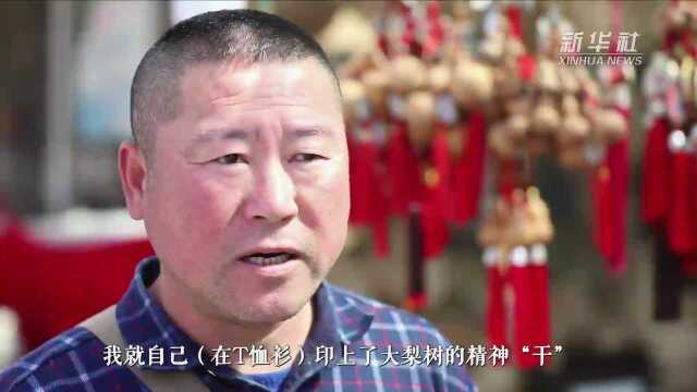 壮丽70年ⷥ勦–—新时代|大梨树:为“干”字树碑的村庄