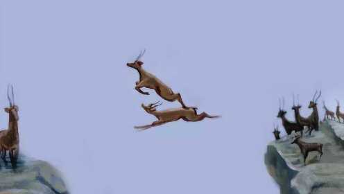 羚羊飞跃万丈悬崖，最后一只才是高手，镜头拍下这个惊险的过程！