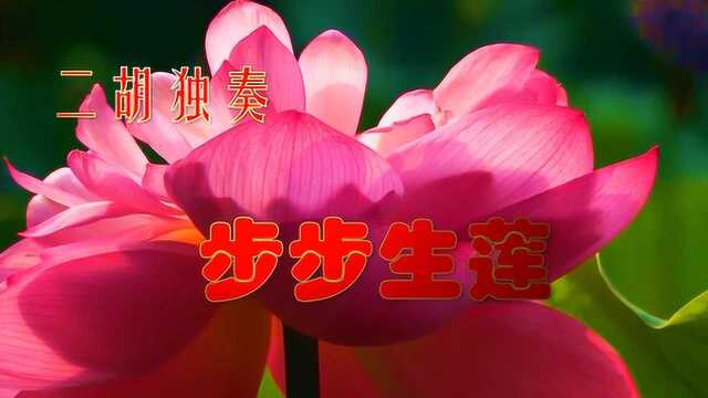 《步步生莲》二胡独奏,刘柏林演奏