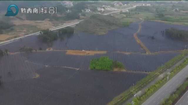 黔西南:发展山地特色产业 促进农业增效百姓增收