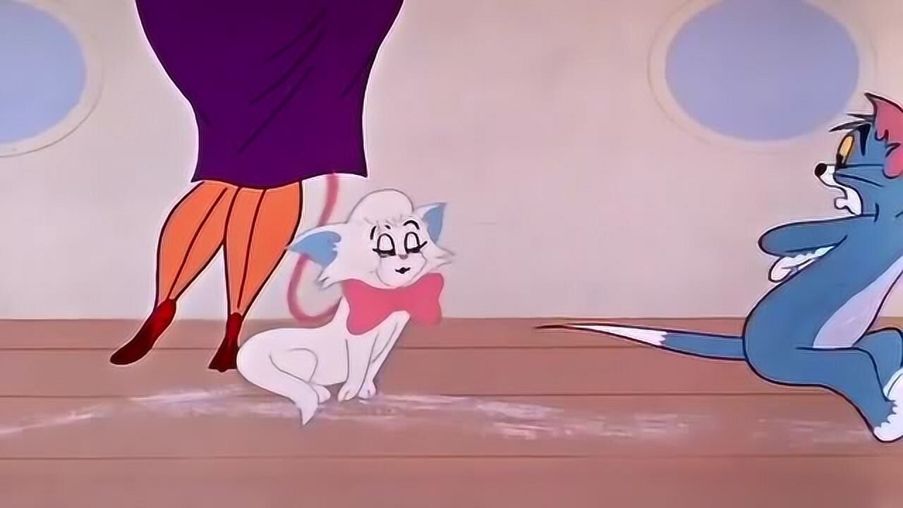 猫和老鼠汤姆爱上小母猫老鼠阻止汤姆追求幸福