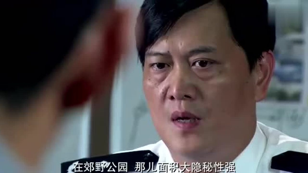 便衣支队缉毒队长跟梁支讲由于麦小龙和佟乐演戏交易提前