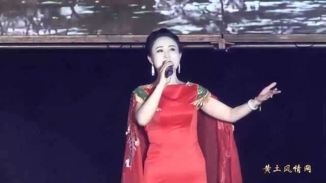 黄土情歌《桃花红杏花白》演唱:刘丽霞