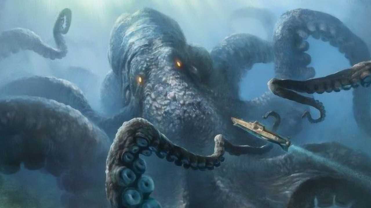 大王酸浆鱿和大王乌贼相比,谁的体积更大?_腾讯视频