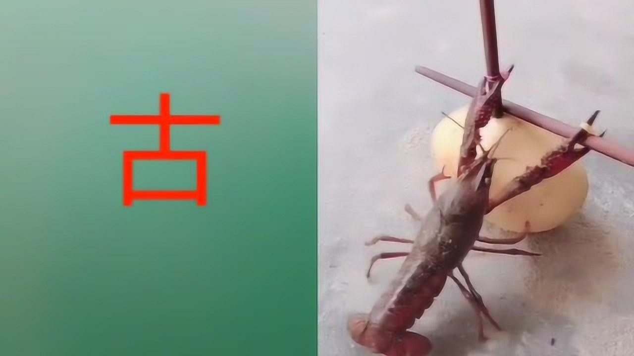 古加个偏旁部首变新字