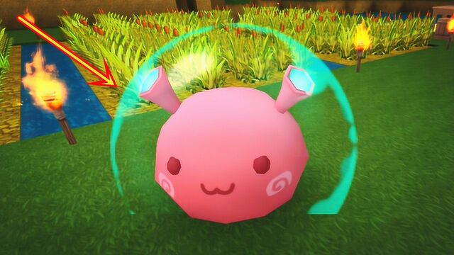 迷你世界野外生存16:打碎罐子又获得一只野生团子