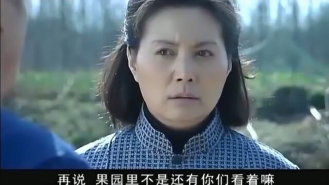 哑女:哑妹出逃,金柱被大嫂训斥,三嫂怀疑是他放走的