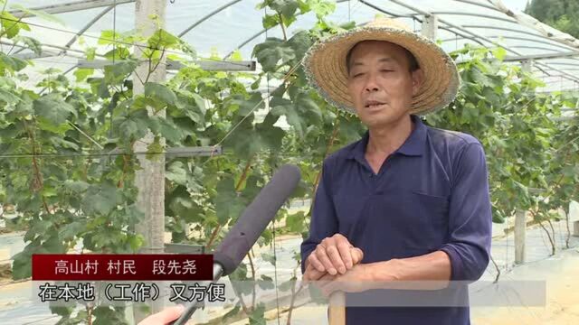 古蔺县两家“四川扶贫”集体商标产品亮相国际商标品牌节