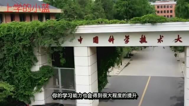 大一新生怎么应该怎么规划自己的大学生活,想不荒废就该把握现在