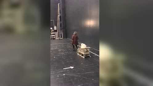 歌剧《叶甫盖尼·奥涅金》孩子与狗后台小视频