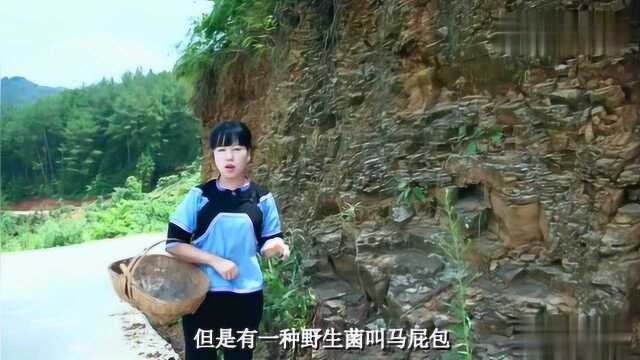 贵州有种野生菌,长在石头缝里看着像石头,你吃过吗?